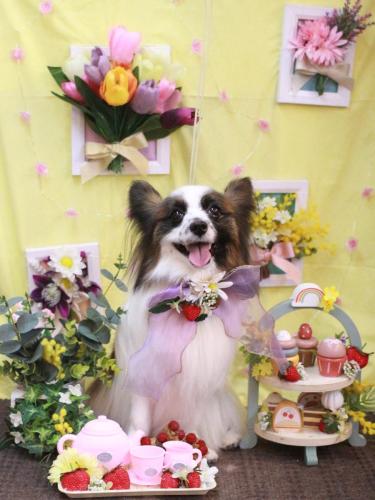 20230326マリーちゃん